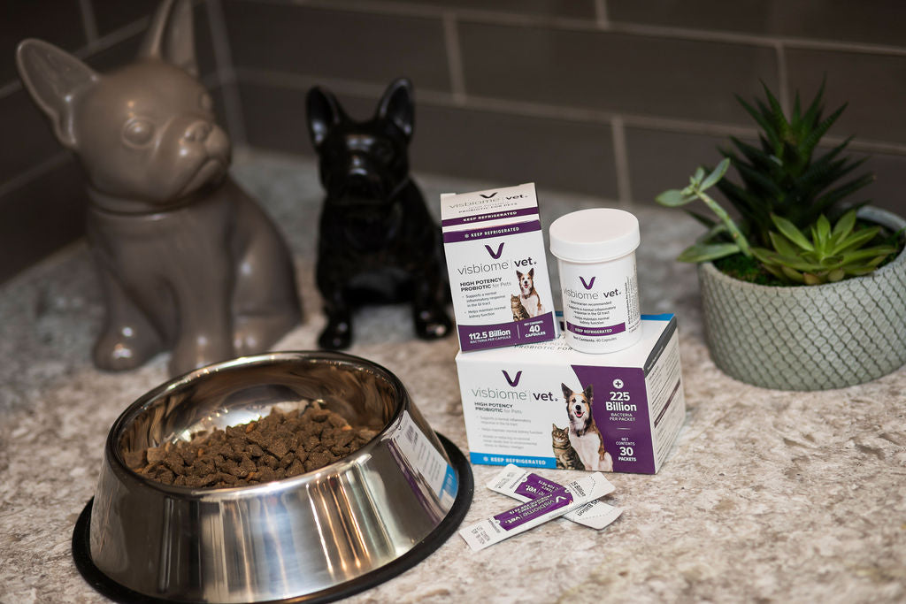 ヴィトックス2箱 b12 Visbiome for Dogs & Cats - Vet Capsules Probiotic - 112.5 Billion
