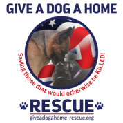 Give a dog home logo