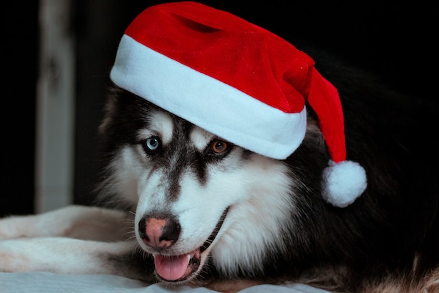 Holiday Photo Hunt Answers!