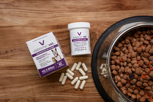 New ACVIM Consensus Statement Highlights Visbiome Vet’s De Simone Formulation in Diet-First Approach