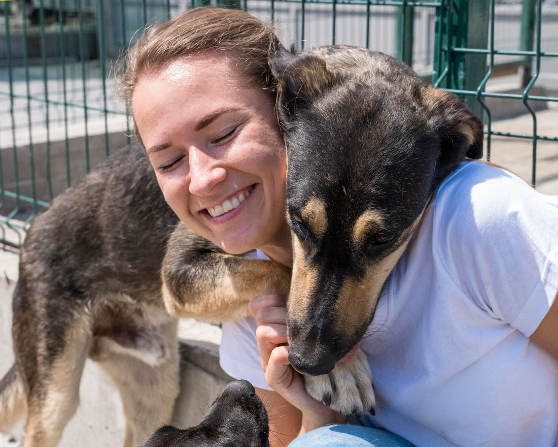 Welcome Home: Helping Your New Pet Settle In