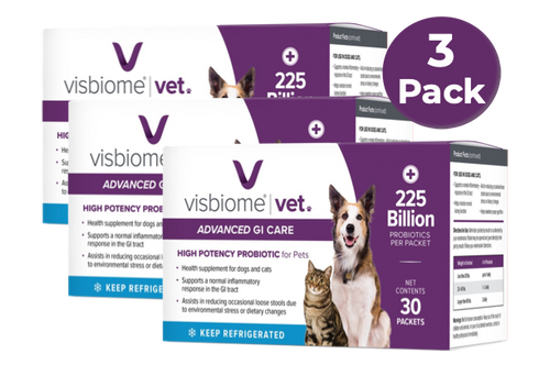 Visbiome Vet - Packets - 3 Pack