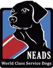 Neads logo