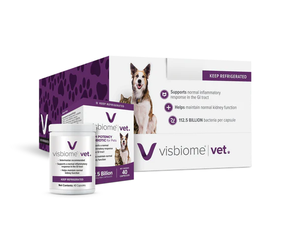 Visbiome probiotic for cats best sale