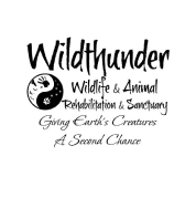 Wildhunter logo